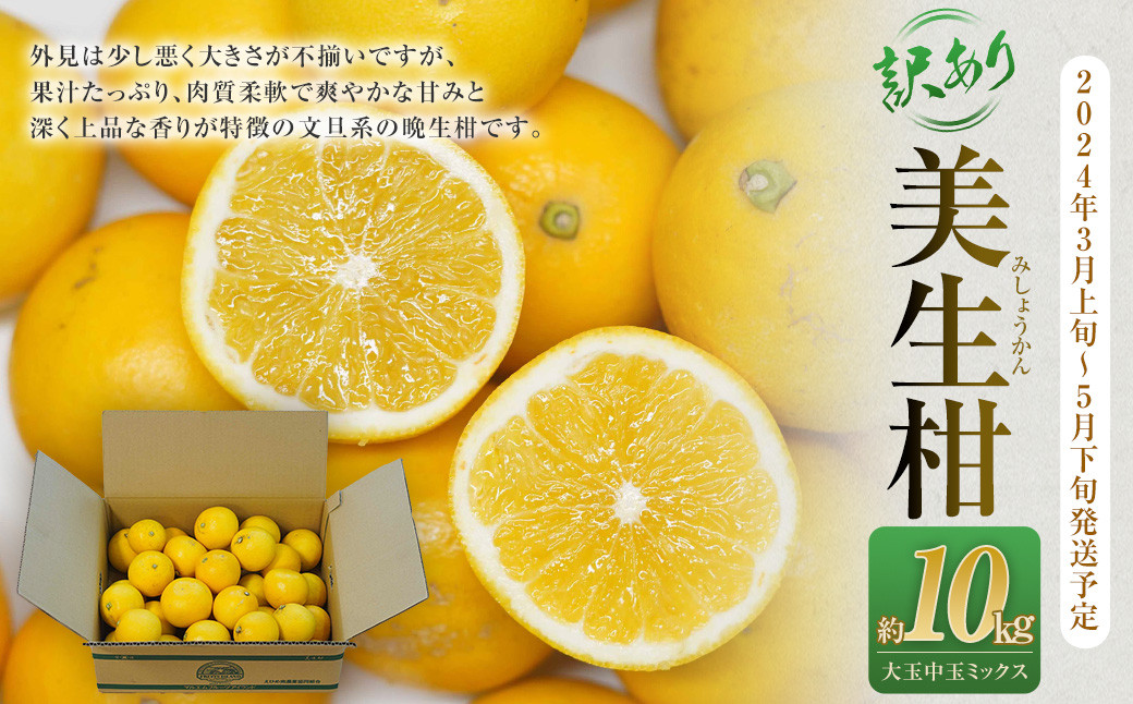 【訳あり】美生柑（みしょうかん）約10kg【2024年3月上旬～5月下旬発送予定】【えひめの町（超）推し！（愛南町）】（455）