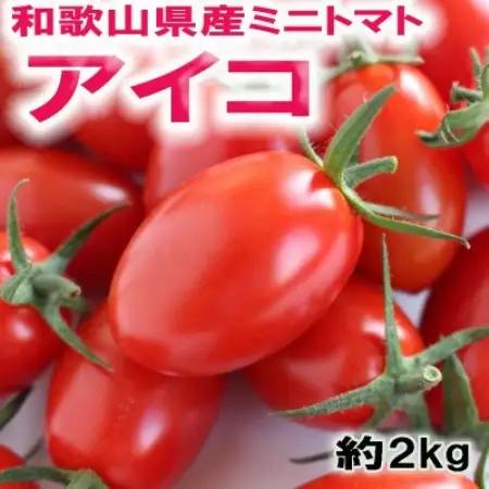 【2027年1月出荷】和歌山県産ミニトマト「アイコトマト」約2kg(M・Lサイズおまかせ)日高町【配送不可地域：離島・北海道・沖縄県】【1742505】