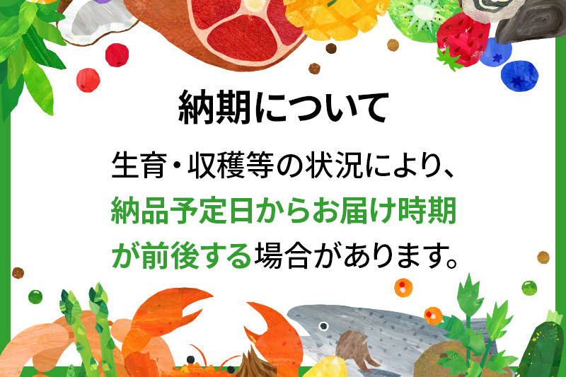 粒ぞろい「やよいひめ」デラックスパック 2パック×1箱 山口いちご園