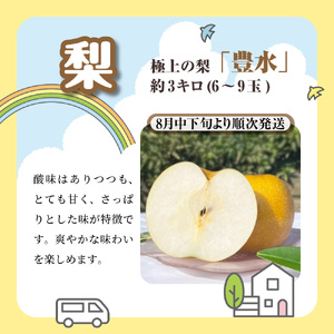 船橋産フルーツ定期便（3品目）　梨 豊水 シャインマスカット イチゴ エコチョク