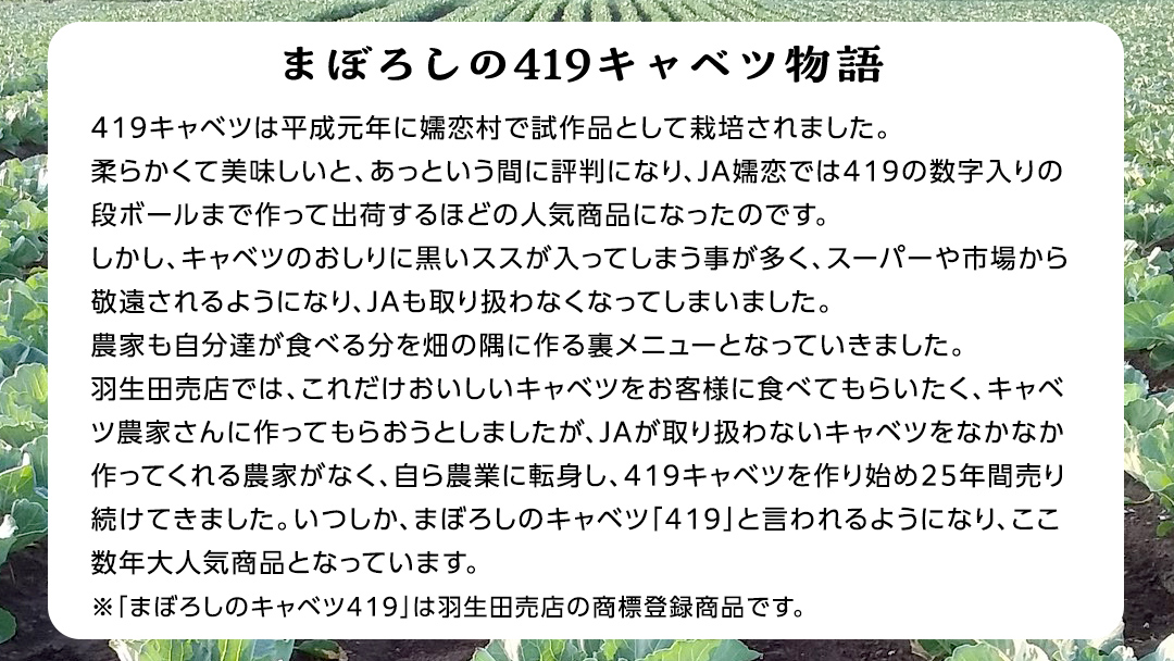 【 2025年 7月中旬 発送開始 】 《 3か月 定期便 》まぼろしの419キャベツ 2玉 3カ月 きゃべつ 嬬恋村産キャベツ 羽生田売店 幻のキャベツ419 産地直送 期間限定 先行予約 人気 朝