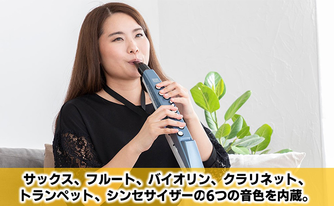 【Roland】ウインドシンセサイザー/エアロフォンミニ【配送不可：離島】 楽器 管楽器 