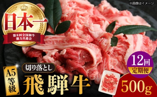 【12回定期便】【飛騨牛】A5等級 切り落とし 500g × 12回 (計6kg) 和牛 ブランド牛 国産 牛肉 多治見市 / 渡辺精肉店 [TAZ014]
