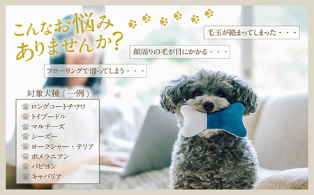 ペット用トリミングシザー　オフセットハンドル ハサミ はさみ シザー ペット用品 ペットトリミング トリミング 理美容 カット 一般向け ペット 動物 忠圀鋏製作所 愛知県 常滑市