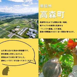 【南信州高森産】梨(南水)5kg ＜9月下旬より順次発送＞
