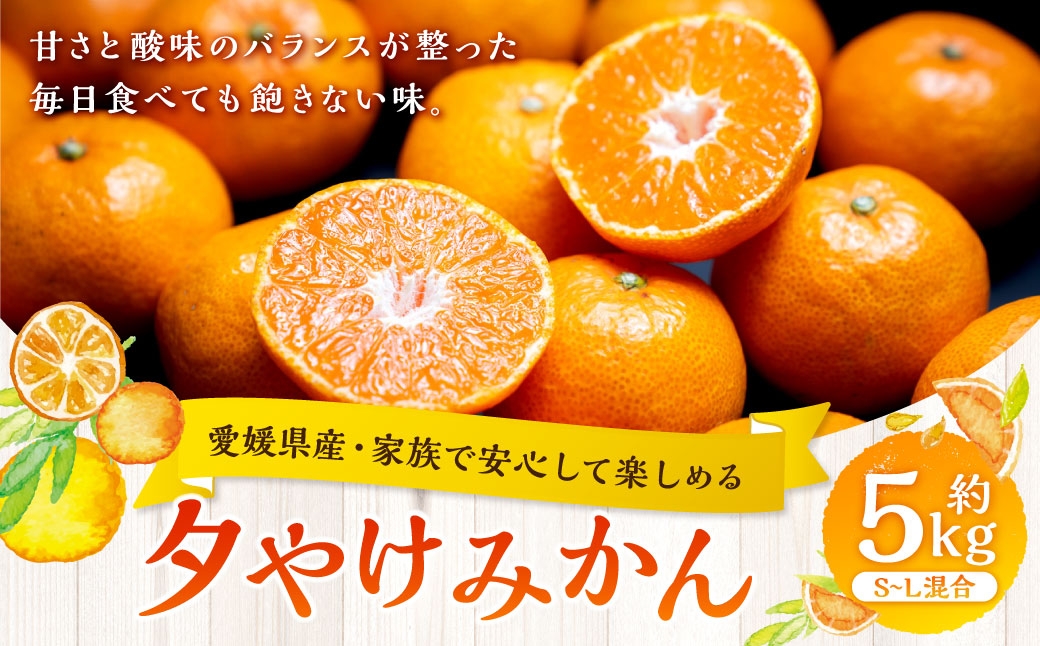 
                  【 愛媛県産 ・ 家族で安心して楽しめる 】 夕やけみかん 約5kg みかん ミカン 柑橘 柑橘系 柑橘類 くだもの 果物 フルーツ 果実 果汁 果肉 国産 【 2026年10月下旬-2027年1月下旬発送予定 】 ( 1103 )
                