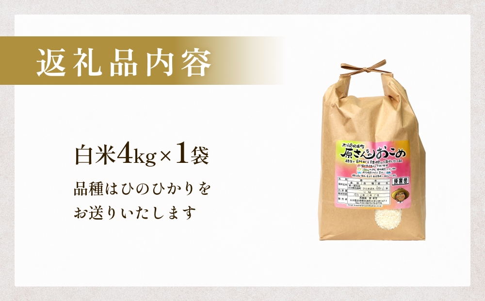 【令和8年産米先行受付】原さんちのお米 白米 ４kg ひのひ