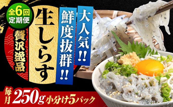 
                  【全6回定期便】生しらす 50g×5個 冷凍 しらす シラス 干し 釜揚げ 小分け 魚介類 鮮魚 ギフト 料理 シラス丼 しらす丼 海鮮丼 生 生産地 おつまみ ご飯のお供 グルメ やみつき 旬 国産 広島県産 リピート ギフト プレゼント 贈答 人気 高品質 好評 保存方法 江田島市/三島水産株式会社 [XCN012]
                