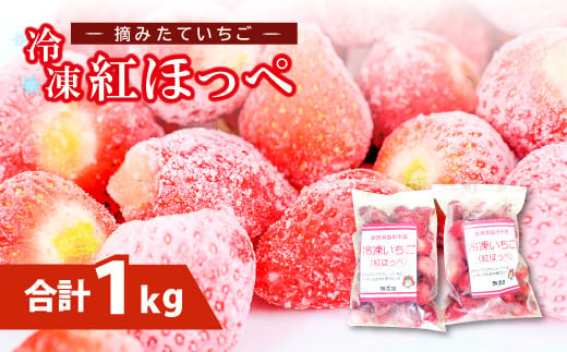 益田市産 冷凍いちご（紅ほっぺ）500g×2袋【果物 フルーツ 苺 いちご イチゴ 冷凍イチゴ 紅ほっぺ 500g×2袋 摘みたて ヘタなし 冷凍】