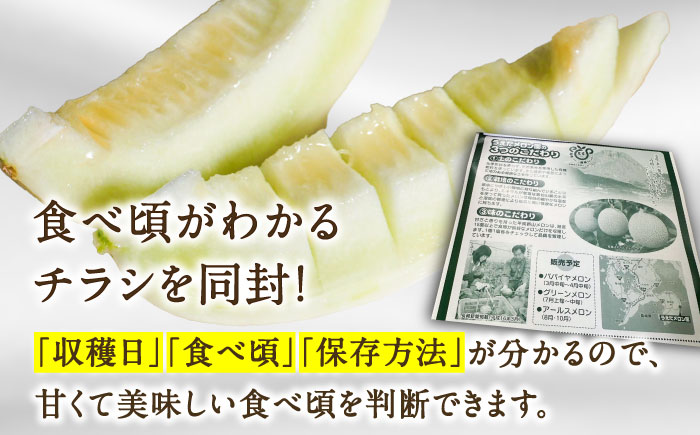 【2025年3月中旬~発送】【平成新山メロンPREMIUM（とみちゃん厳選）】しらかばメロン 約 5kg / メロン 南島原市 / うえだメロン園 [SAD002]