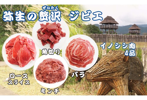 脊振ジビエ イノシシ肉(ロース バラ 角切り ミンチ)4品詰合せ(小) 【佐賀 佐賀県産 猪 ロース バラ 焼肉 しゃぶしゃぶ 鍋物】(H072186)