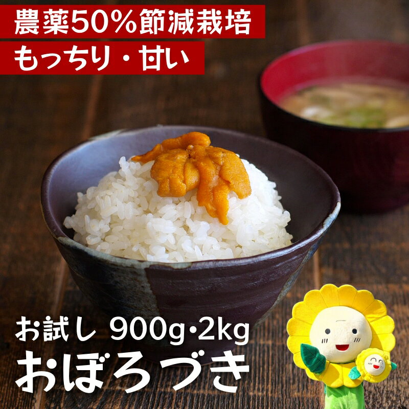 【ふるさと納税】 おぼろづき 令和7年産 新米 お試し 6合(900g) ・ 2kg / 白米 ごはん こめ 北海道米 ※10月中旬～順次発送 //rice