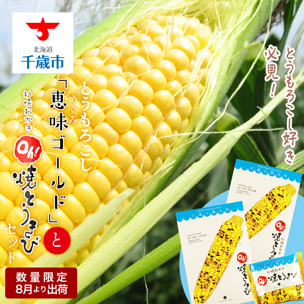 【ふるさと納税】とうもろこし好き必見！とうもろこし「恵味ゴールド」と札幌おかきOh！焼とうきび2箱セット恵味 ゴールド とうもろこし トウキビ 野菜 北海道 千歳 北海道ふるさと納税 千歳市 ふるさと納税【北海道千歳市】ギフト ふるさと納税