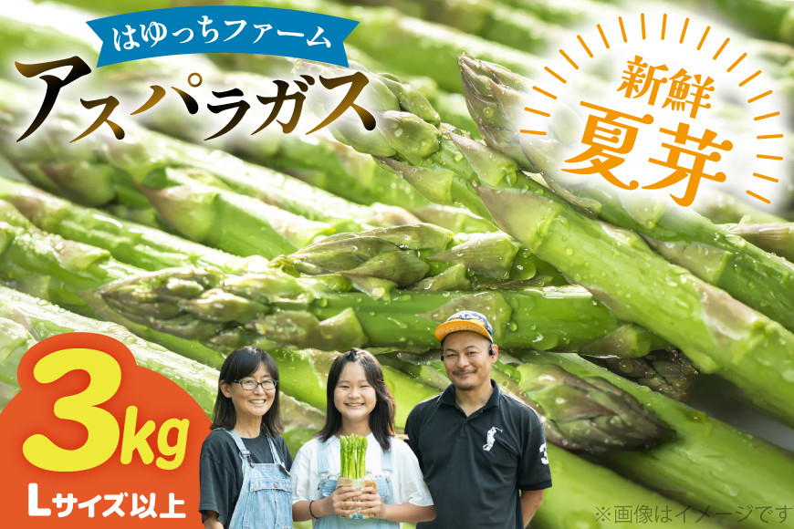 
                  アスパラ アスパラガス 夏芽アスパラガス 3.0kg L サイズ以上 [はゆっちFARM 長崎県 東彼杵町 hs42bag360008] アスパラ あすぱら 新鮮 夏
                
