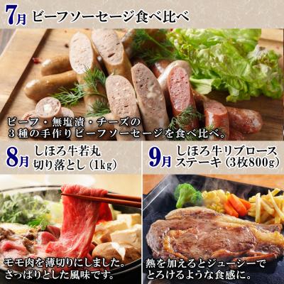 ふるさと納税 士幌町 定期便 北海道 牛肉づくし 全11回 ステーキ ハンバーグ 頒布会【X36】 |  | 03