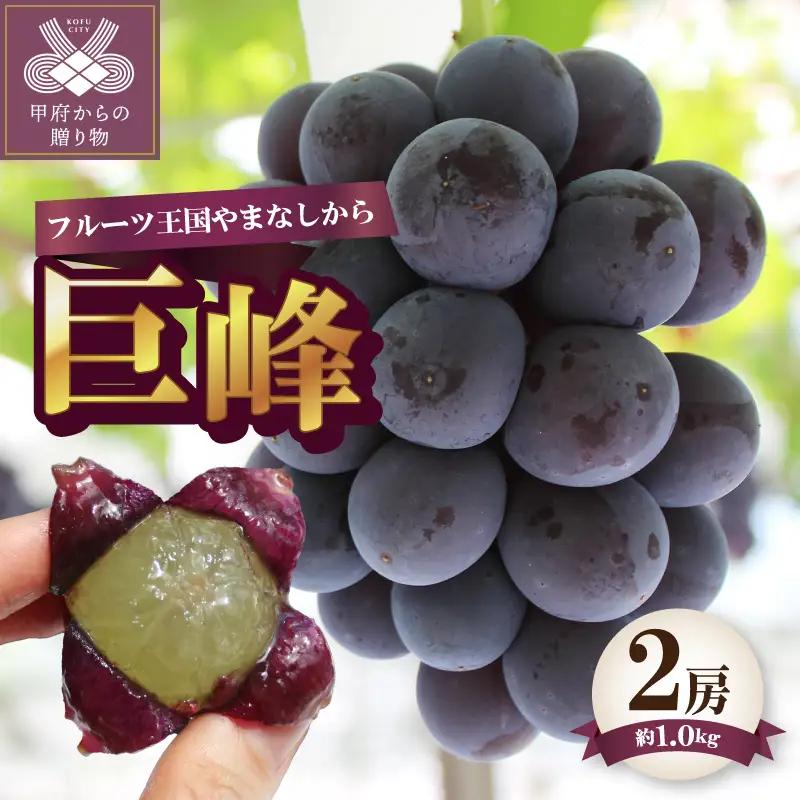 【ふるなび限定】〈2026年度配送分〉巨峰2房（約1.0kg） FN-Limited-SP