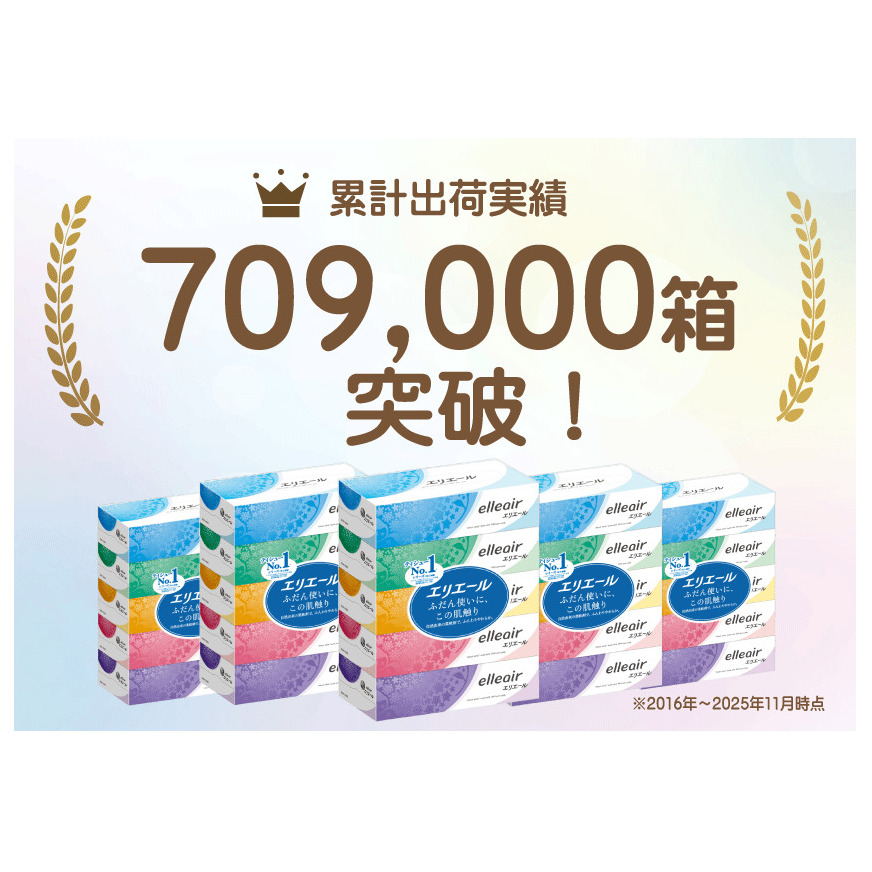 定期便 2ヵ月連続お届け エリエール [アソートB] トイレットペーパー ティッシュ トイレ ボックスティッシュ まとめ買い ペーパー ひとり暮らし 紙 防災 常備品 備蓄品 消耗品 備蓄 日用品 生