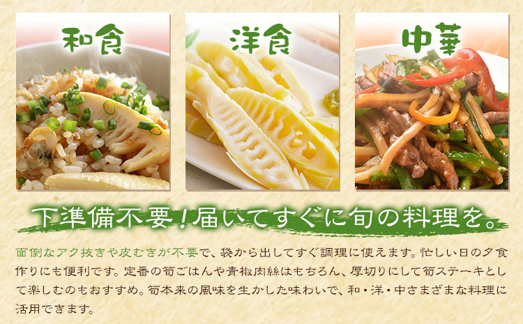 たけのこ水煮セット トライカット ブロック スライス 細切り 穂付こさんホール こさんスライス 北さつま農協《30日以内に出荷予定(土日祝除く)》鹿児島県 さつま町 たけのこ 水煮 和食 洋食 中華 