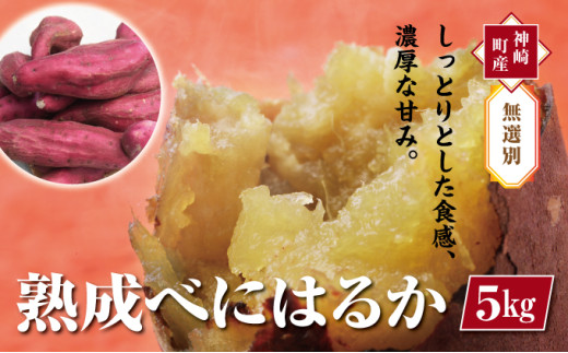 【先行予約・1月中旬以降出荷】神崎町産べにはるか 「さつまいも」無選別 5kg【数量が選べる】[016-a009]