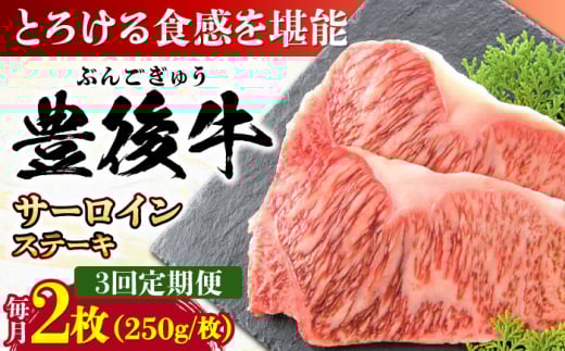 【全3回定期便】おおいた豊後牛 サーロインステーキ 500g (250g×2枚) 日田市 / 株式会社MEAT PLUS 牛肉 おおいた豊後牛 おおいた 豊後牛 黒毛和牛 サーロイン サーロインステーキ ステーキ 国産 和牛 [AREI056]