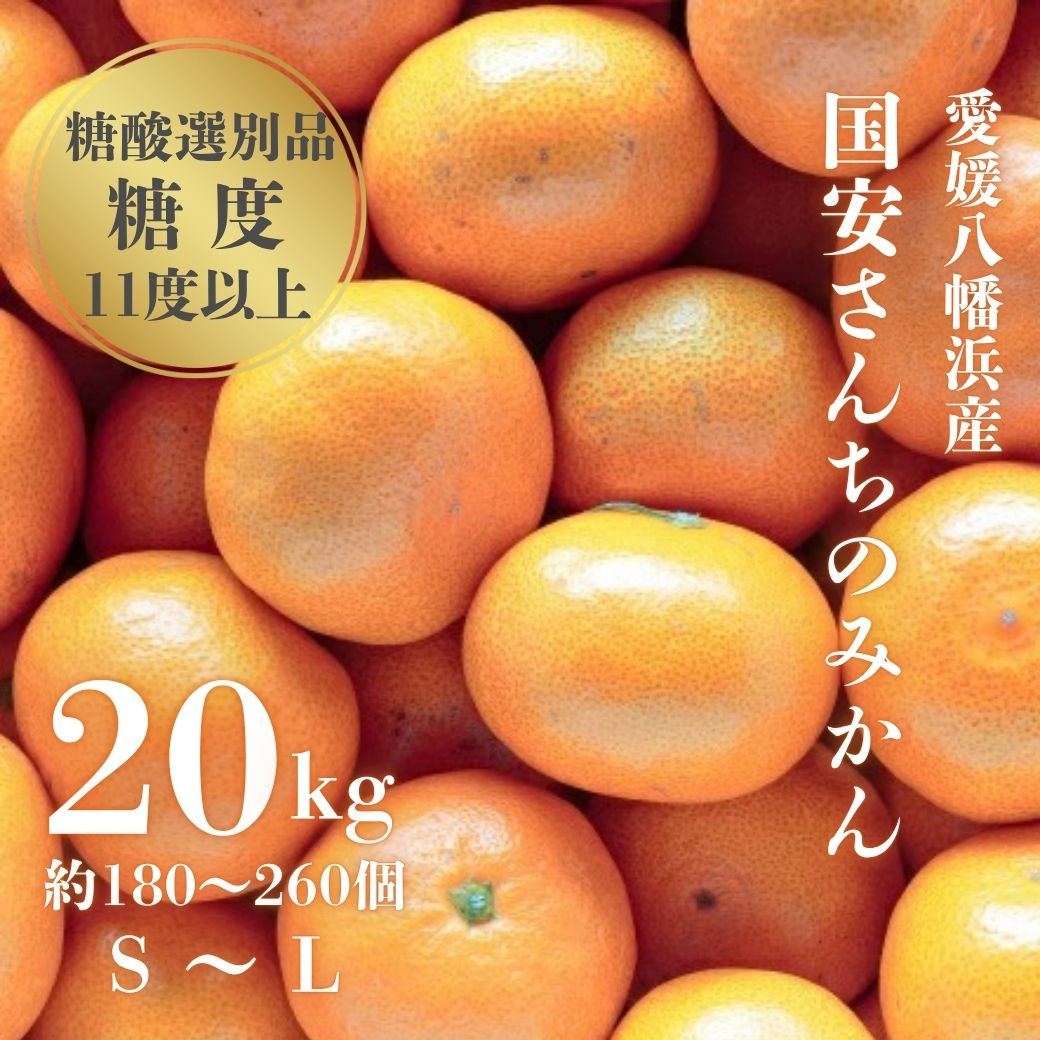 【ふるさと納税】【糖度11度以上 酸1.0以下 糖酸選別品】愛媛みかん 20kg【H20-83】_【1623267】 YWTI078