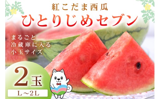 紅こだま西瓜（ひとりじめセブン）２玉入り〈先行予約〉2026年5月中旬頃から順次発送