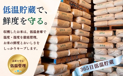 【定期便3回】黄金銀香 飯山産 コシヒカリ 精米 5kg（5kg×1袋） 合計 15kg 《発送開始：2026年11月〜》 小島  | 新米 お米 米 精米 白米 コメ こしひかり ご飯 おいしい お