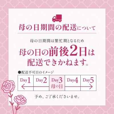 ふるさと納税 三宅町 フラワーボックス The Plants ギフト おしゃれ 花束 フラワーアレンジメント 母の日 生花 |  | 02