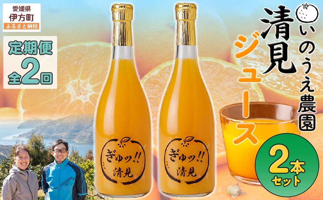 
                  【定期便】いのうえ農園 清見ジュース2本セット 全2回※離島への配送不可  【ふるさと納税 人気 おすすめ ランキング 柑橘 みかん ミカン 蜜柑 ジュース ミカンジュース みかんジュース 清見 清見ジュース 定期便 フルーツ 果物 産地直送 いのうえ農園 愛媛県産 愛媛県 伊方町 送料無料】 IKTAI029 
                