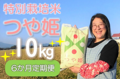 
令和6年産【定期便6回】小野寺農園のつや姫10kg×6回
