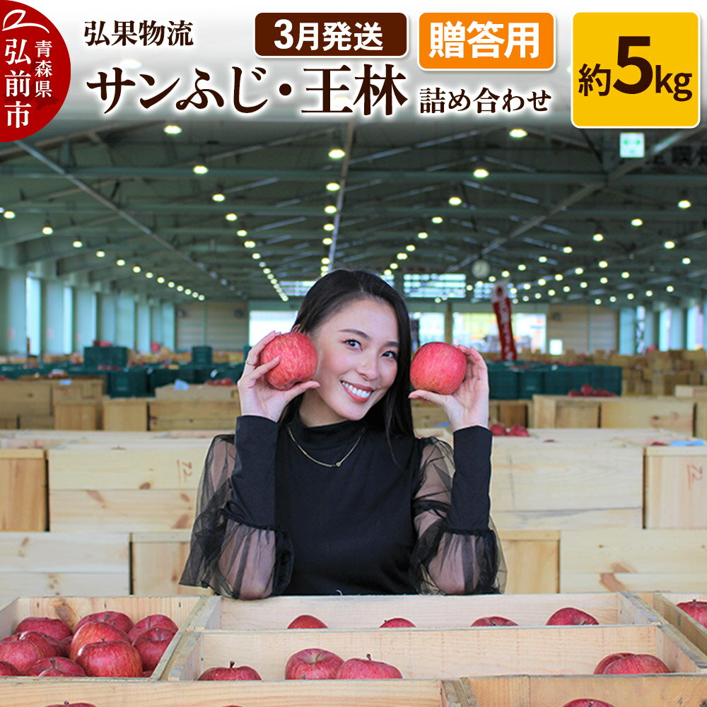 【ふるさと納税】りんご【3月発送】贈答用 サンふじ・王林 詰め合わせ 約5kg