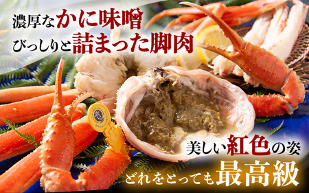 【11月発送】【先行予約】特大 越前がに《極》（1.5kg以上）名人が茹でる やまに仕込み [W-4301]