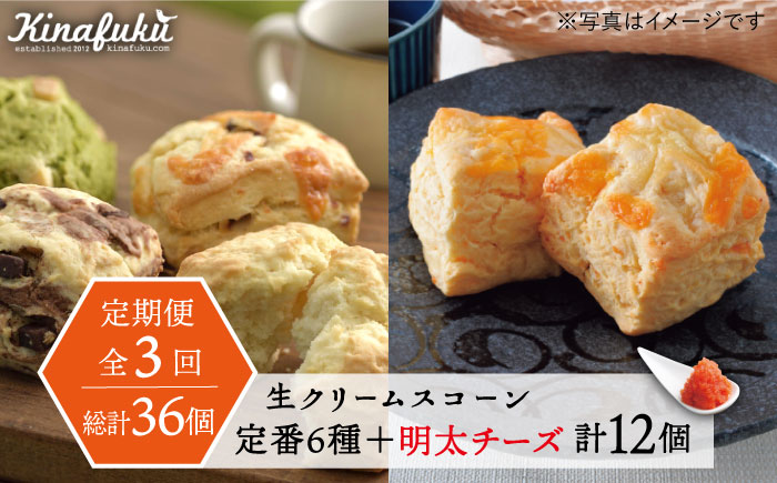 【全3回定期便】【 ご自宅用 】 定番 スコーン + 明太 チーズ スコーン 計 12個 セット 糸島市 / スコーン専門店キナフク [AFA024]