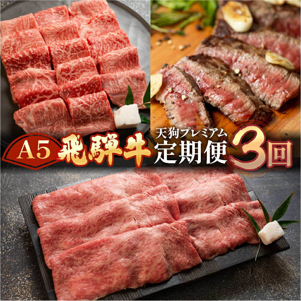 【ふるさと納税】 A5 飛騨牛 天狗 定期便 3回 牛肉 赤身 霜降り 希少部位 もも サーロイン 肉 下呂温泉 おすすめ 牛肉 ブランド牛 肉ギフト 国産 焼き肉 しゃぶしゃぶ ギフト お楽しみ 50,000円 5万円　高級牛肉 岐阜県 下呂市