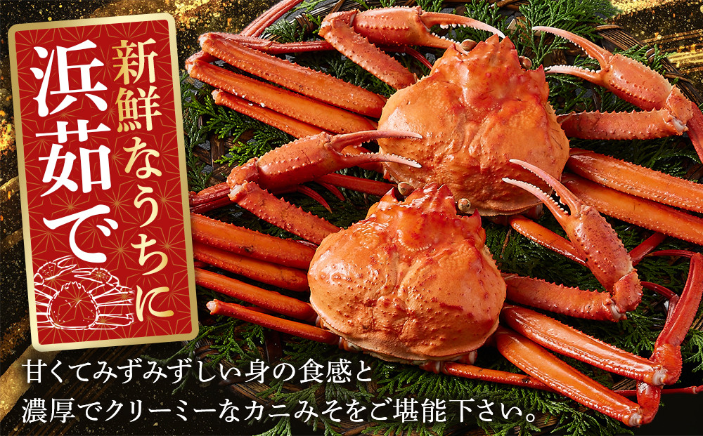 ＜金～日着※指定日不可＞＜7月～9月上旬発送不可＞浜茹ベニズワイガニ足欠(2枚/計約800g以上)