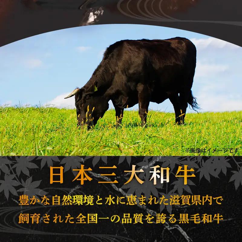 近江牛 牛スライス 600g （ 200g × 3パック ） [RM106]