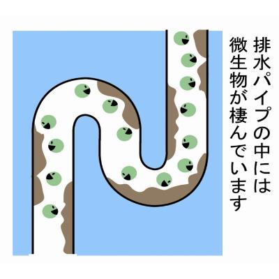ふるさと納税 龍ケ崎市 【毎月定期便】ふるさと納税専門誌掲載品　環境配慮型洗剤緑の魔女ランドリー5L×3セット 全12回 |  | 01