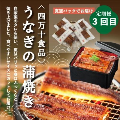 ふるさと納税 四万十市 【4ヵ月連続定期便】四万十市人気魚介&お肉返礼品 第2弾 7 |  | 03