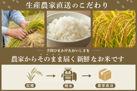 【連続特A受賞米】佐賀県基山町の米・令和7年産 さがびより(精米)3kg〈生産者直送〉【米 ブランド米 特A 冷めても美味い 3kg ふるさと納税】K094004