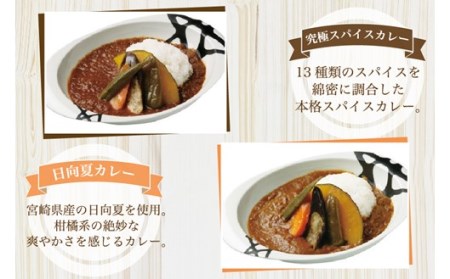 無添加で安心安全！スパイス香る本格カレー５種（２００ｇ×１０食）