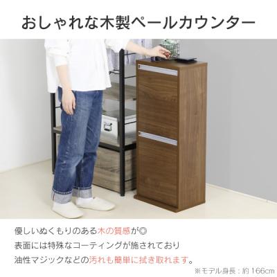 ふるさと納税 三条市 〔川口工器〕木製2分別ダストボックス(ブラウン)【069S003】 |  | 01