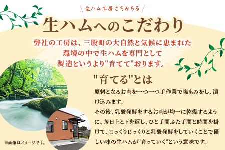 ＜【訳あり】国産豚モモ生ハム切り落とし 600g ＞選べる 内容量 パック 訳アリ 国産 豚肉 豚モモ 豚バラ 肩肉 生ハム スライス 切り落とし パンチェッタ 短冊 コッパスライス サラダ BBQ 