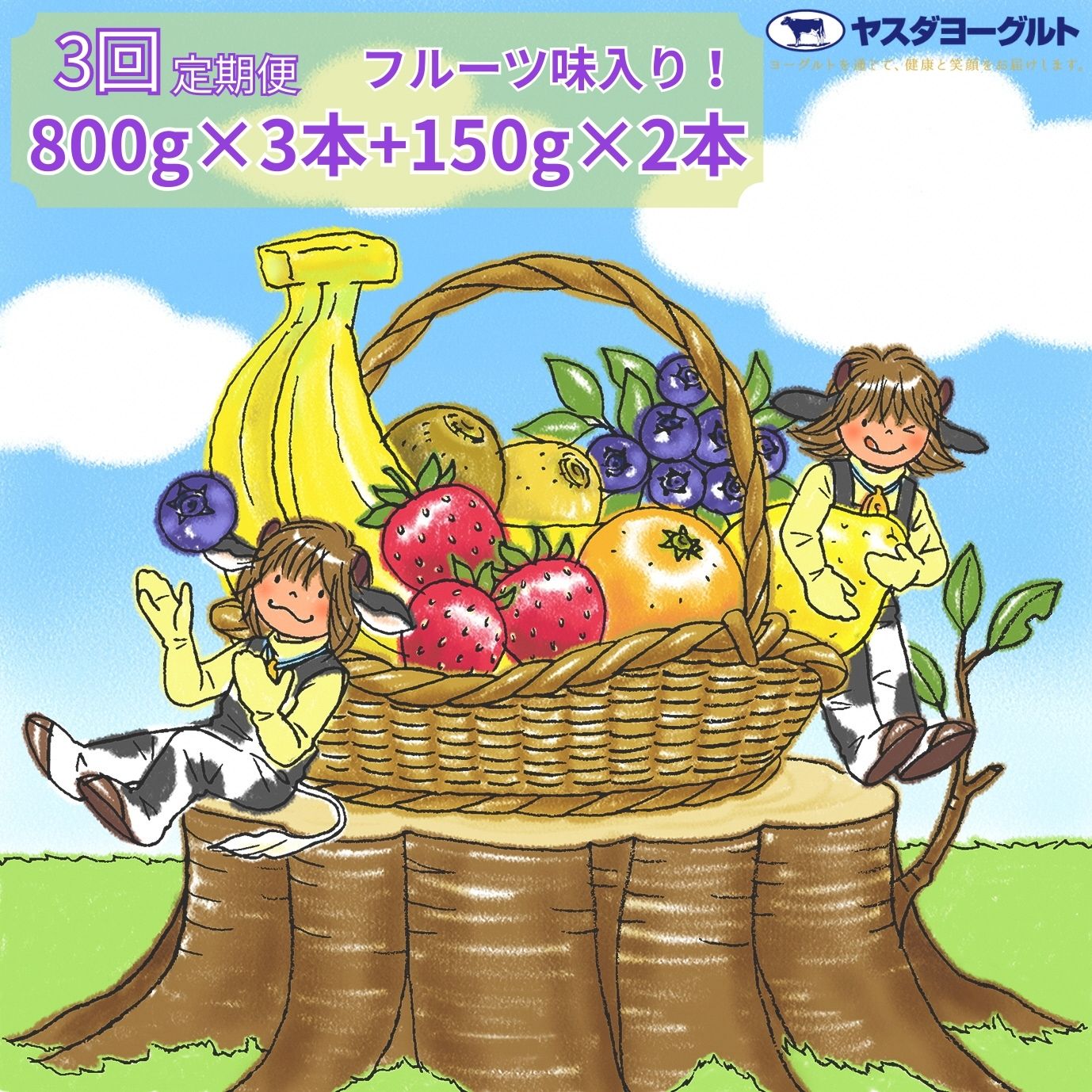 【ふるさと納税】【3ヶ月定期便】ヤスダヨーグルト ちょい足しフルーツセレクションセットお試し便 大ボトル800g×3本＋小ボトル150g2本 無添加 搾りたて こだわり生乳 濃厚 飲むヨーグルト のむよーぐると