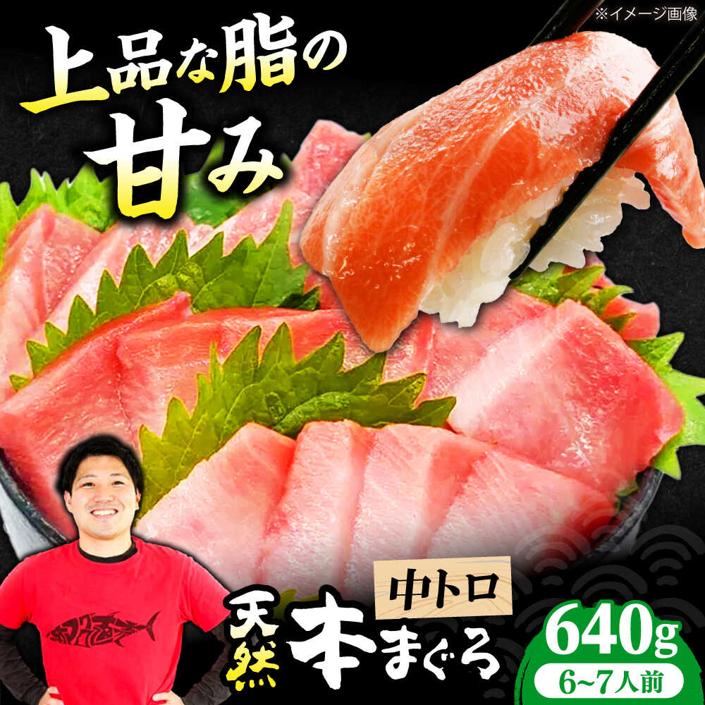 【ふるさと納税】極上！たね熟天然本まぐろ中トロ(640g) 天然 マグロ 鮪 まぐろ トロ 赤身 刺身 魚 魚介 ギフト 贈り物 贈答 プレゼント 人気 おすすめ 送料無料 大阪 大阪府 高槻 高槻市 ふるさと納税 大阪府高槻市/本まぐろ直売所[AOCE010]