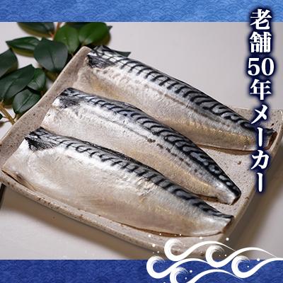 ふるさと納税 銚子市 【訳あり】定塩ノルウェーさばフィレ　約2.8kg |  | 01