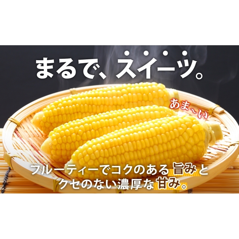 先行予約 【 2025年 発送 】北海道 朝もぎ とうもろこし 恵味 ゴールド L-LLサイズ 10本 スイート コーン トウモロコシ とうきび 旬 完熟 野菜 採れたて 朝採り 甘い めぐみ 産地直