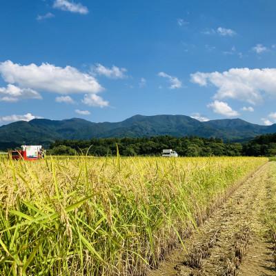 ふるさと納税 新庄市 令和7年産　極みのササニシキ(精米)10kg (1袋) |  | 02