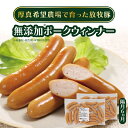 【ふるさと納税】【隔月全6回定期便】無添加ポークウィンナー 500g×2パック(総量6kg) 結着剤、発色剤、保存料不使用！ 《厚真町》【ファーマーズファクトリー株式会社】 [AXBA009]