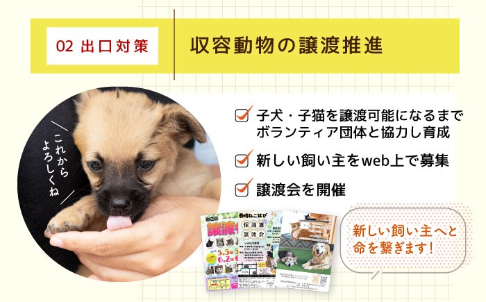 長崎  動物 犬 猫 いぬ ねこ イヌ ネコ 保護犬 保護猫 支援 応援 寄付のみ