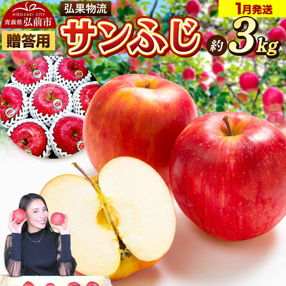 【ふるさと納税】【27年1月発送】りんご 贈答用 サンふじ 約3kg [アップル おいしい お歳暮 お中元 ギフト ふじ プレゼント りんご 果実 果物 赤色 贈り物 贈答用 美味 林檎]